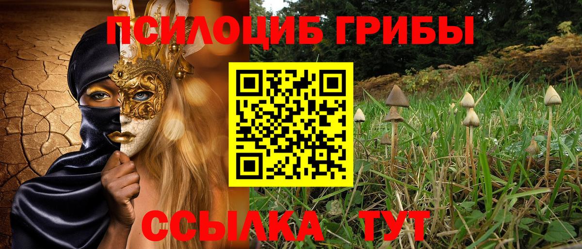 Псилоцибиновые грибы GOLDEN TEACHER  Вход с VPN  Уссурийск 